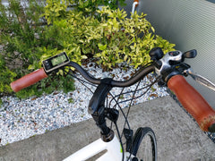 2nd Hand Long Range EBike | EXPLORER-III