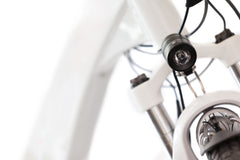 Electric Delivery Bike