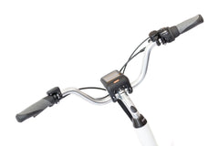Electric Delivery Bike