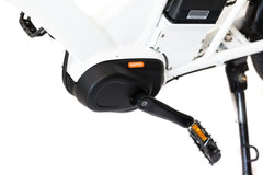 Electric Delivery Bike