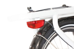 Electric Delivery Bike