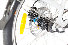 Electric Delivery Bike