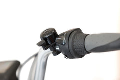 Electric Delivery Bike