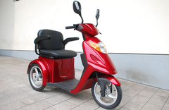 Pilot E-Scooter