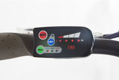Electric bike control panel - Focus III | Easy Motion