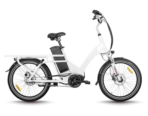 Electric Delivery Bike