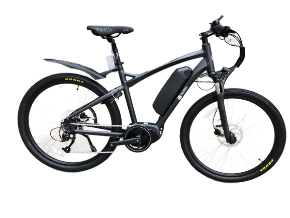 Roadmaster electric bike shop